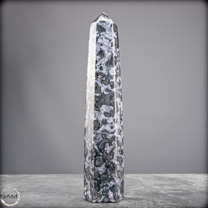 Natürlicher Merlinit (Gabbro) Kristall Obelisk - 836,25g