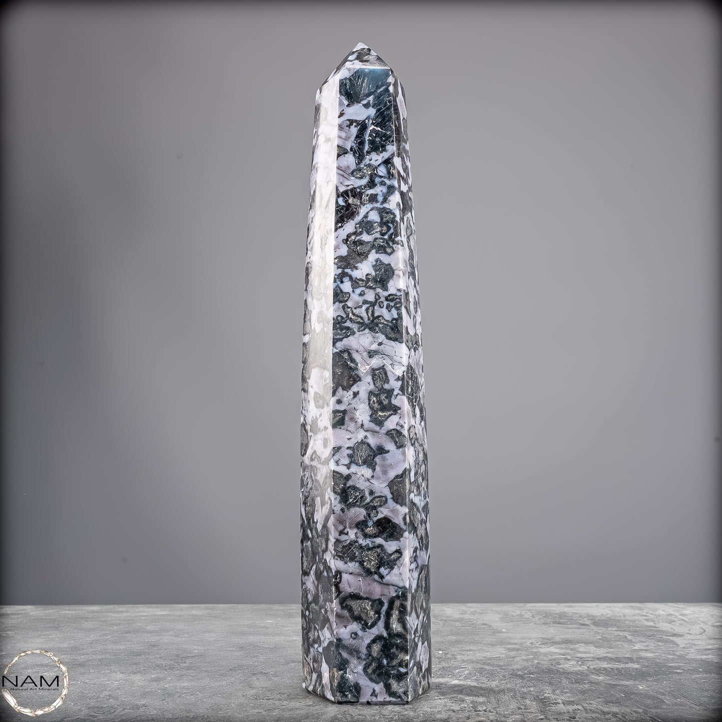 Natürlicher Merlinit (Gabbro) Kristall Obelisk - 836,25g