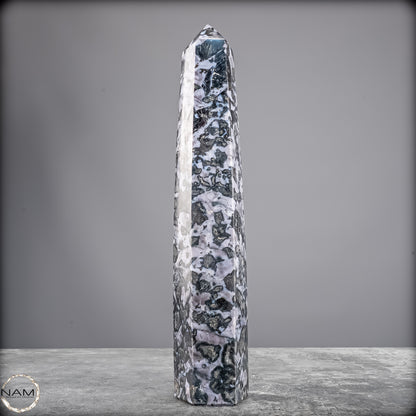 Natürlicher Merlinit (Gabbro) Kristall Obelisk - 836,25g