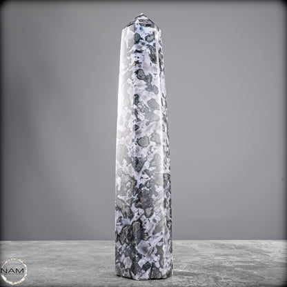 Natürlicher Merlinit (Gabbro) Kristall Obelisk - 836,25g