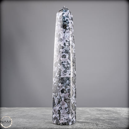 Natürlicher Merlinit (Gabbro) Kristall Obelisk - 836,25g