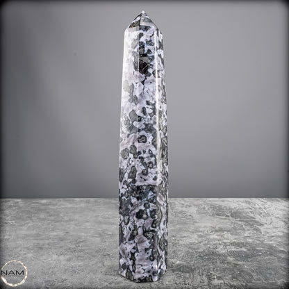 Natürlicher Merlinit (Gabbro) Kristall Obelisk - 836,25g