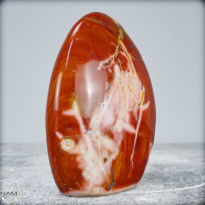 Natürliche rote Jaspis-Freiform -1315,15g
