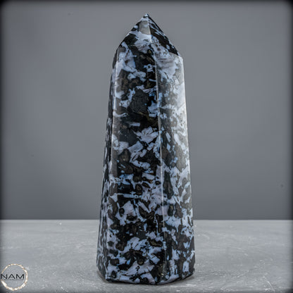 Natürlicher Merlinit (Gabbro) Kristall Obelisk - 903,26 g
