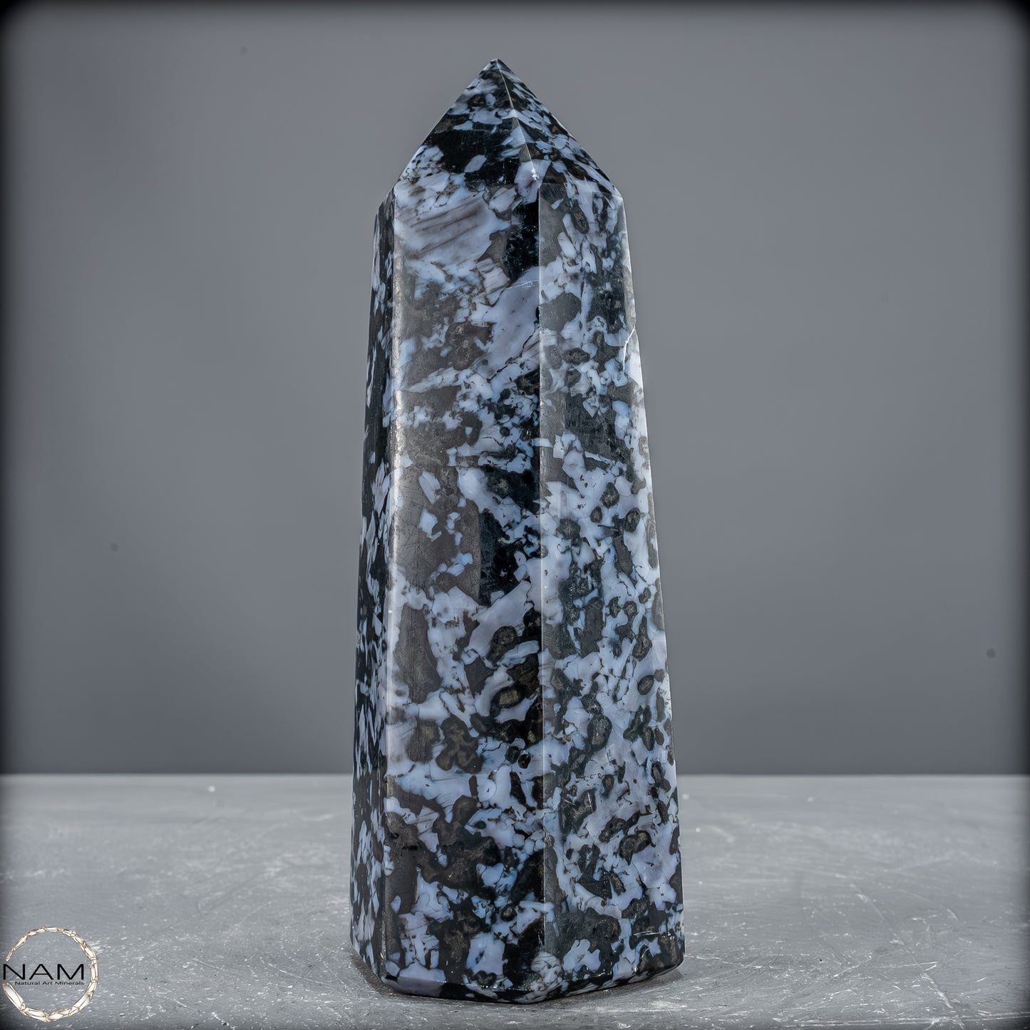 Natürlicher Merlinit (Gabbro) Kristall Obelisk - 903,26 g