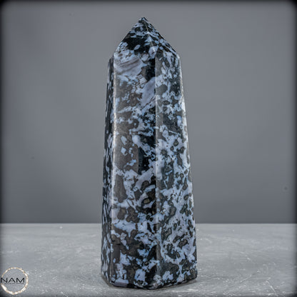 Natürlicher Merlinit (Gabbro) Kristall Obelisk - 903,26 g