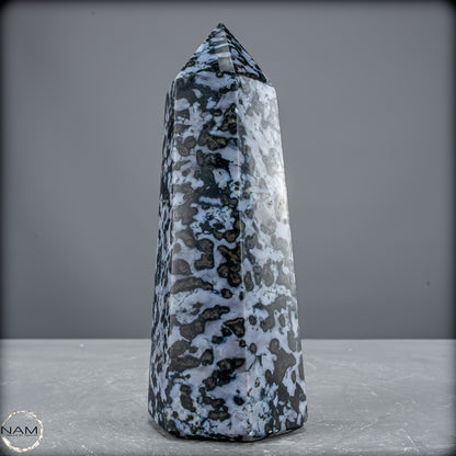 Natürlicher Merlinit (Gabbro) Kristall Obelisk - 903,26 g