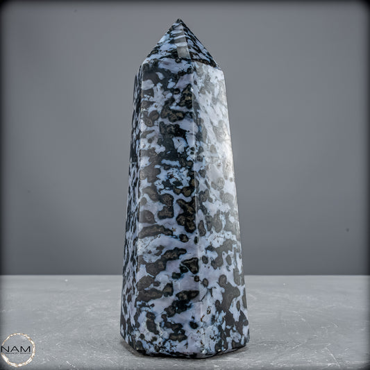 Natürlicher Merlinit (Gabbro) Kristall Obelisk - 903,26 g