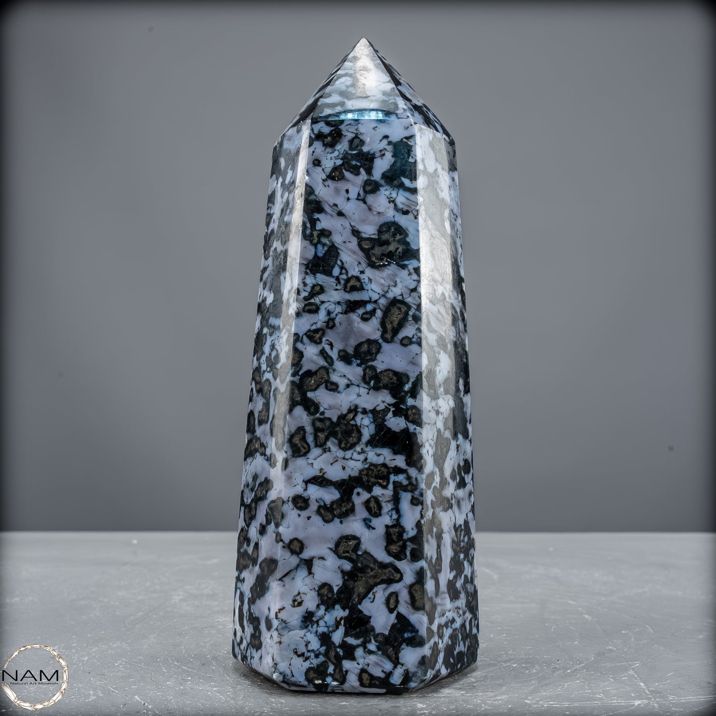 Natürlicher Merlinit (Gabbro) Kristall Obelisk - 903,26 g