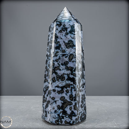 Natürlicher Merlinit (Gabbro) Kristall Obelisk - 903,26 g