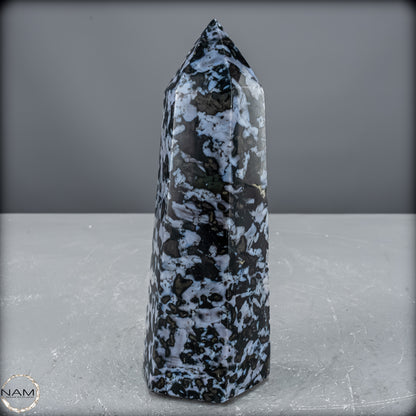 Natürlicher Merlinit (Gabbro) Kristall Obelisk - 903,26 g