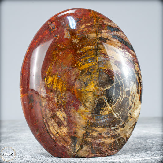 Natürliche Kristall-Freiform aus Versteinertem Holz  - 949,38g