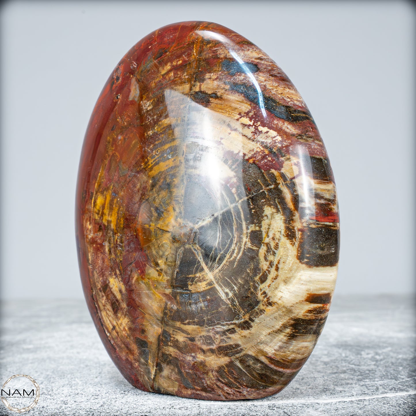 Natürliche Kristall-Freiform aus Versteinertem Holz  - 949,38g