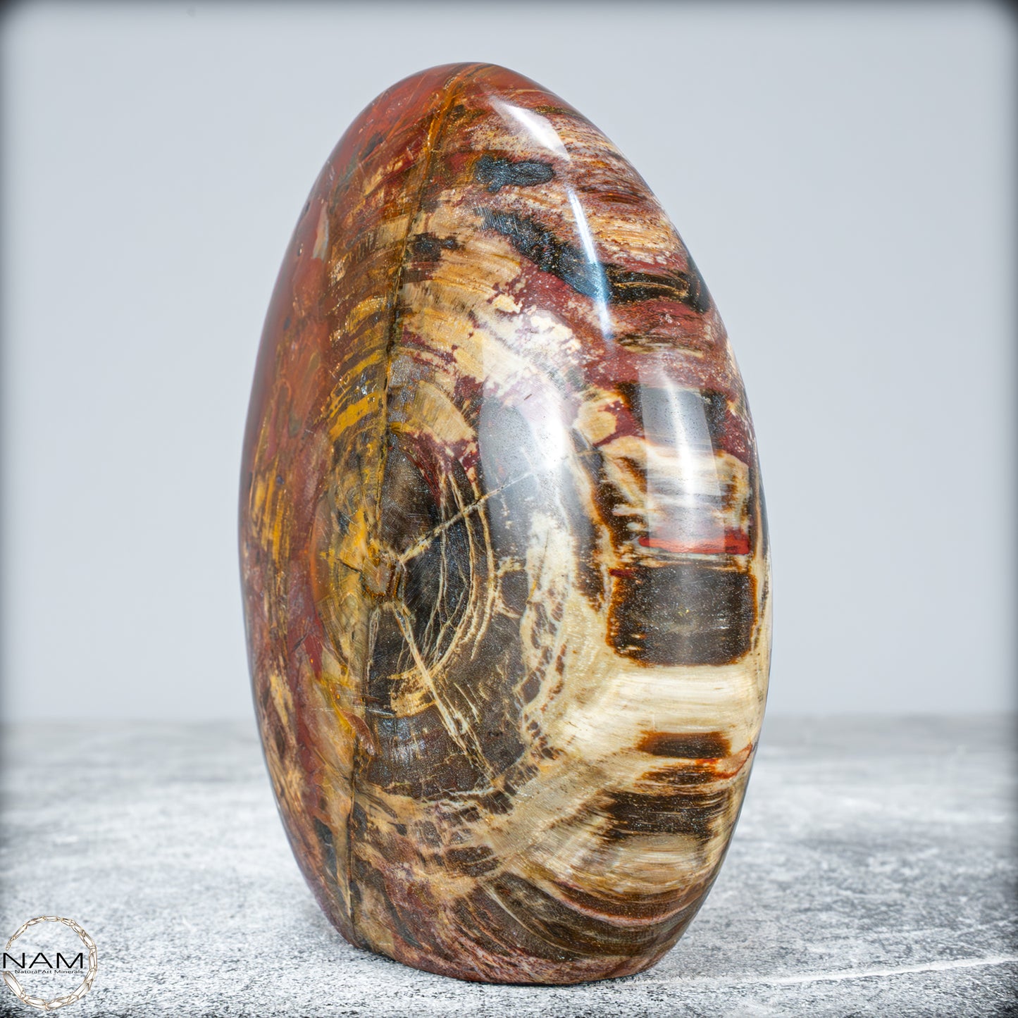 Natürliche Kristall-Freiform aus Versteinertem Holz  - 949,38g