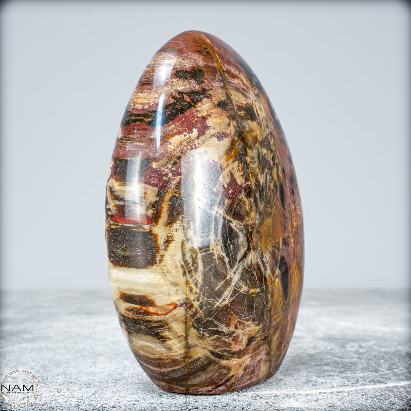 Natürliche Kristall-Freiform aus Versteinertem Holz  - 949,38g