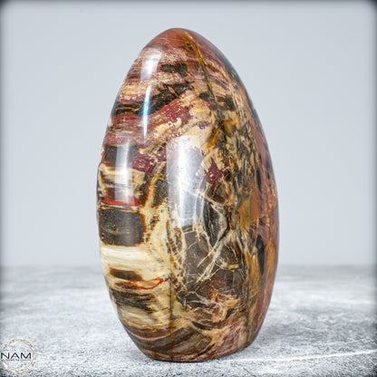 Natürliche Kristall-Freiform aus Versteinertem Holz  - 949,38g
