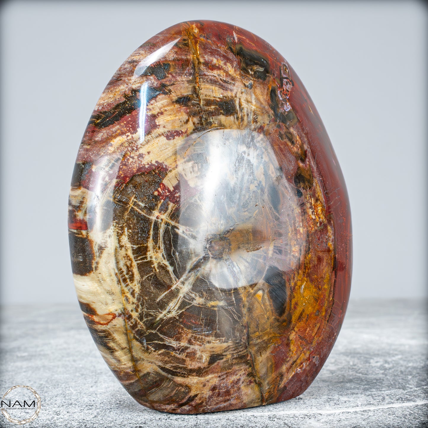 Natürliche Kristall-Freiform aus Versteinertem Holz  - 949,38g