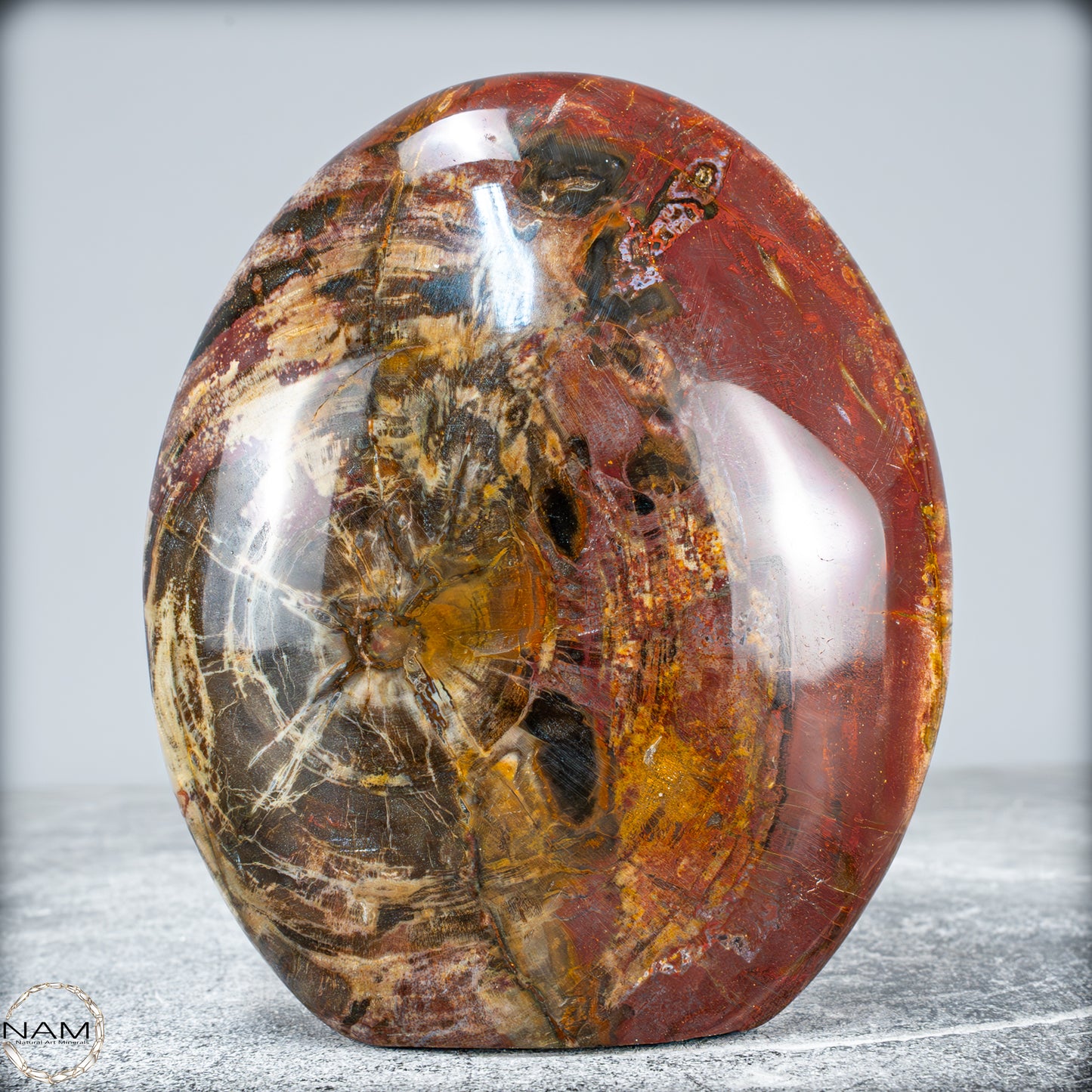 Natürliche Kristall-Freiform aus Versteinertem Holz  - 949,38g