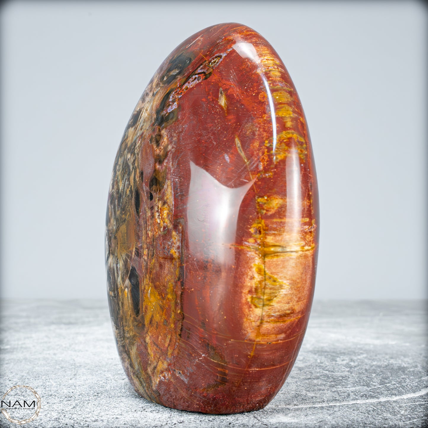 Natürliche Kristall-Freiform aus Versteinertem Holz  - 949,38g