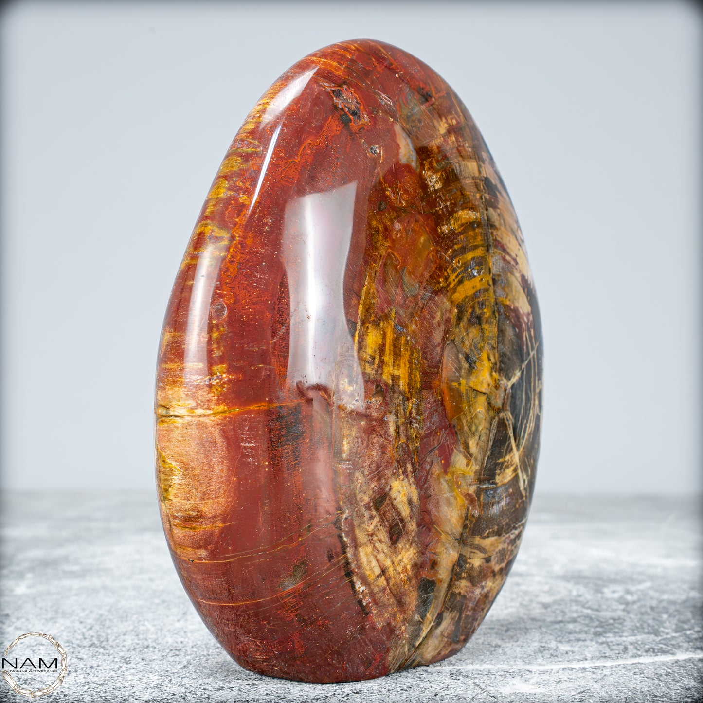 Natürliche Kristall-Freiform aus Versteinertem Holz  - 949,38g