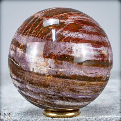 Natürliche Kristall-Kugel aus Versteinertem Holz  - 596,56g