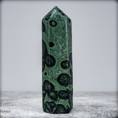 Natürlicher  Kambaba-Jaspis Obelisk - 516,23g