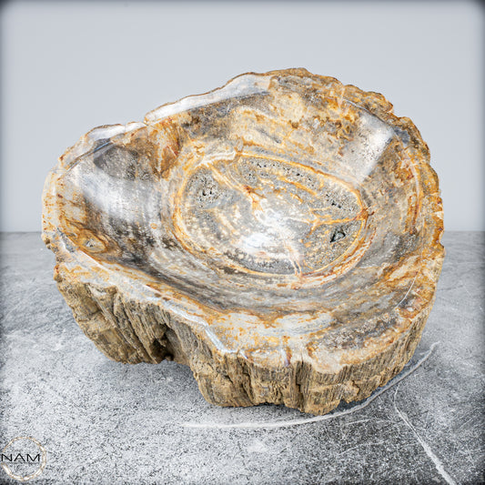 Natürliche Versteinerte Holz Kristall-Schale - 3024,77g