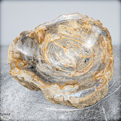 Natürliche Versteinerte Holz Kristall-Schale - 3024,77g