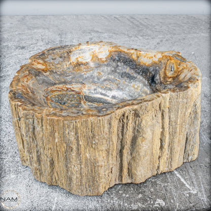 Natürliche Versteinerte Holz Kristall-Schale - 3024,77g