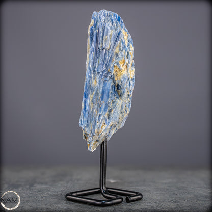 Natürlicher Kyanit-Kristall Cluster auf Ständer aus Brasilien - 538,27g