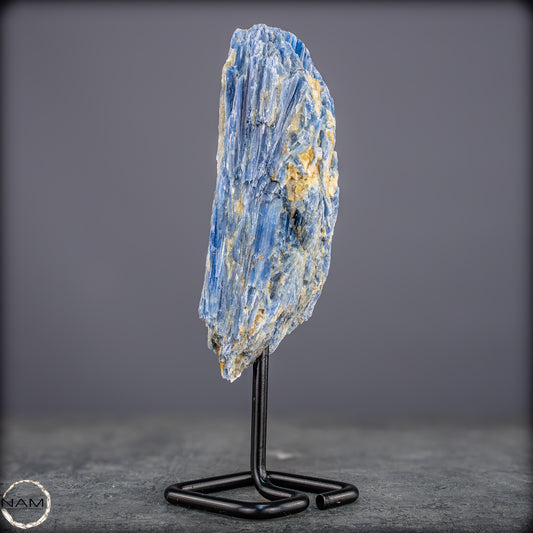 Natürlicher Kyanit-Kristall Cluster auf Ständer aus Brasilien - 538,27g