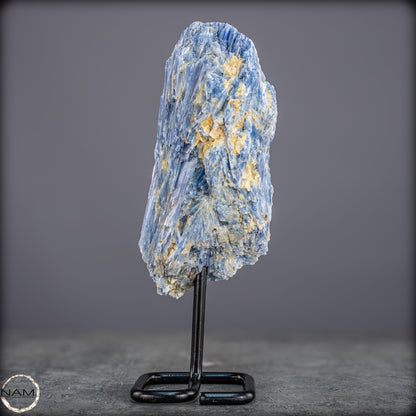 Natürlicher Kyanit-Kristall Cluster auf Ständer aus Brasilien - 538,27g