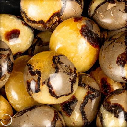 Trommelsteine Septarien – Faszinierende Naturmuster in warmen Gold-, Braun- und Cremetönen