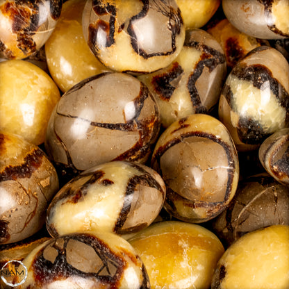 Trommelsteine Septarien – Faszinierende Naturmuster in warmen Gold-, Braun- und Cremetönen