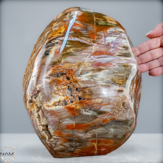 Natürliche Kristall-Freiform aus Versteinertem Holz  - 10052,33g