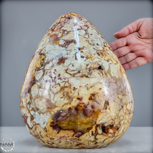 Brekzien-Jaspis Freiform - 9023,12g