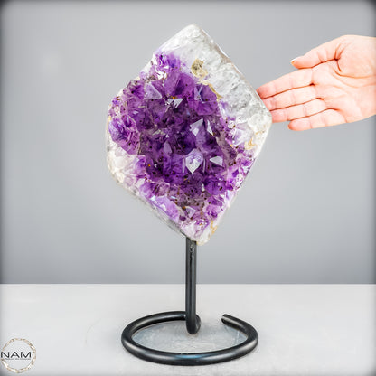 Natürliche Amethyst-Kristalle/Druse auf Ständer - 5473,15g