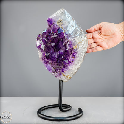 Natürliche Amethyst-Kristalle/Druse auf Ständer - 5473,15g