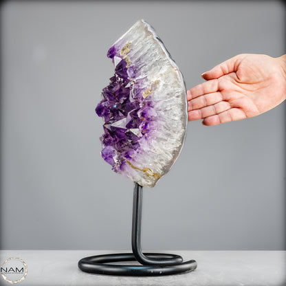 Natürliche Amethyst-Kristalle/Druse auf Ständer - 5473,15g