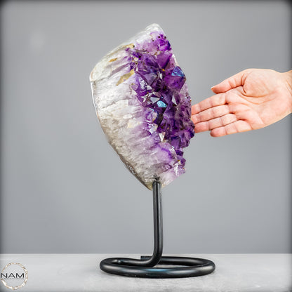 Natürliche Amethyst-Kristalle/Druse auf Ständer - 5473,15g