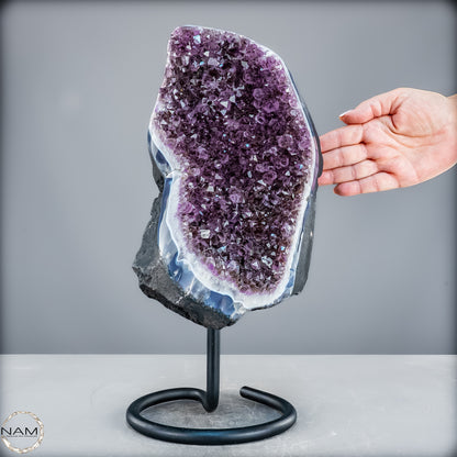 Natürliche Amethyst-Kristalle/Druse auf Ständer - 7687,18g