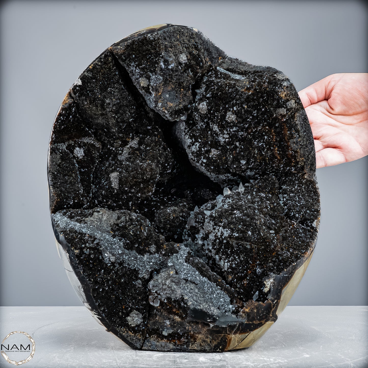 Natürliche Septarien Druse mit Calzit Kristallen, Spitzenqualität - 12487,32g