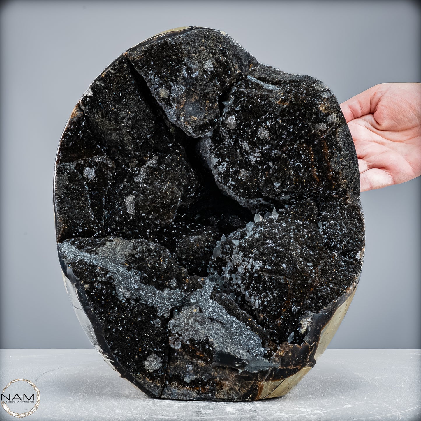 Natürliche Septarien Druse mit Calzit Kristallen, Spitzenqualität - 12487,32g