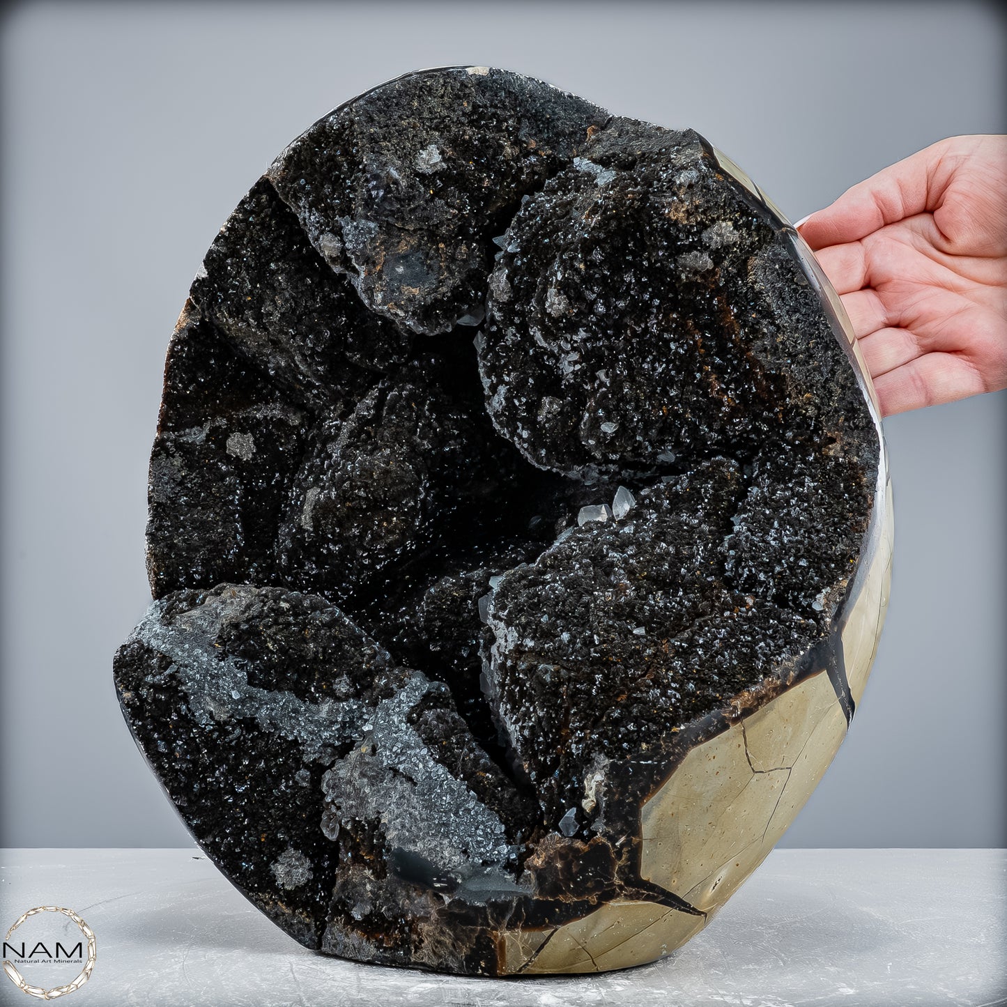 Natürliche Septarien Druse mit Calzit Kristallen, Spitzenqualität - 12487,32g