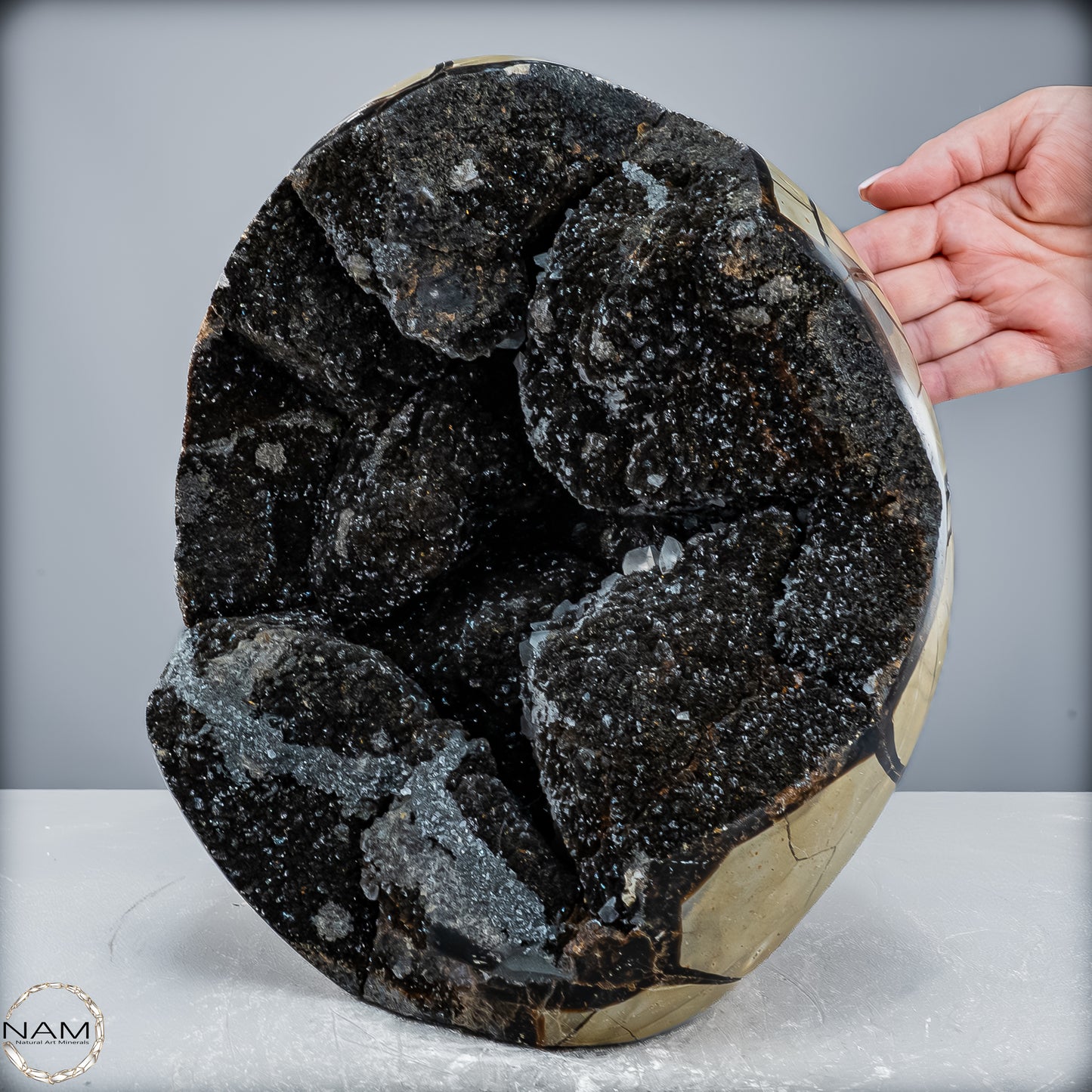 Natürliche Septarien Druse mit Calzit Kristallen, Spitzenqualität - 12487,32g