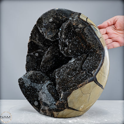 Natürliche Septarien Druse mit Calzit Kristallen, Spitzenqualität - 12487,32g