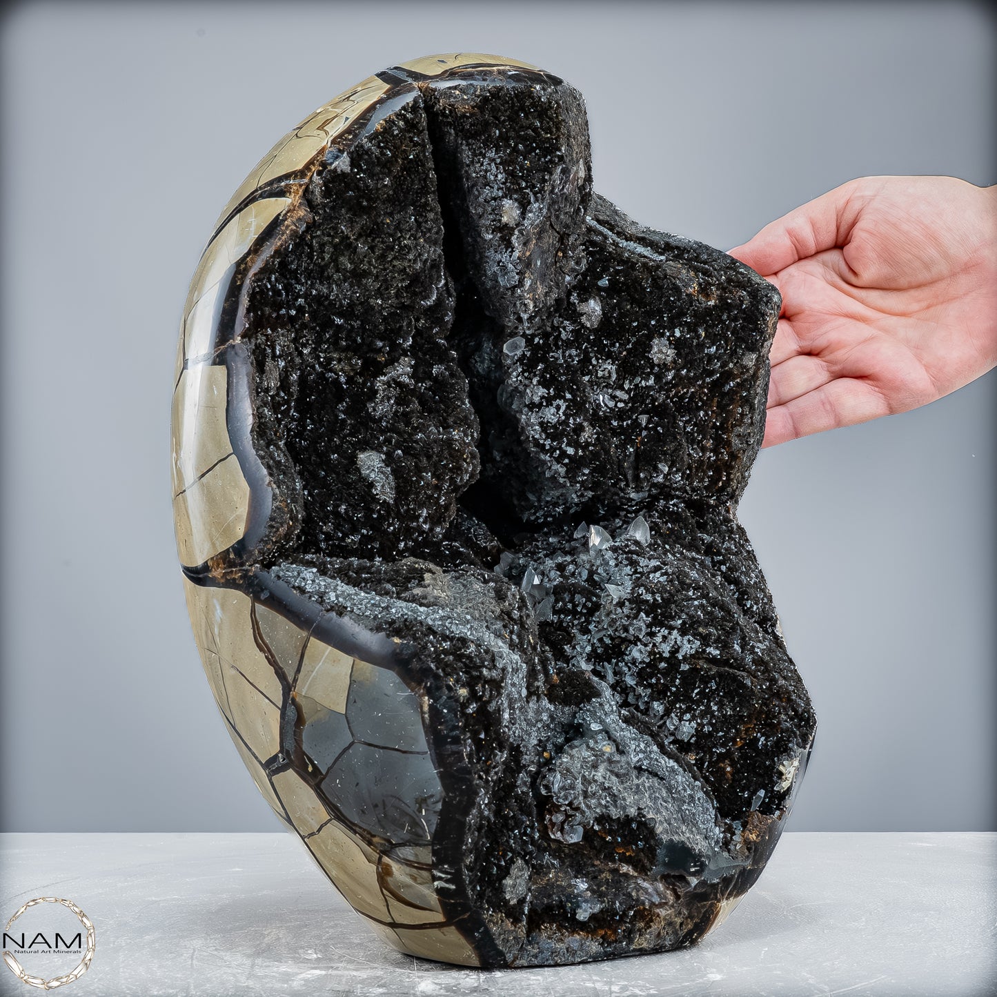 Natürliche Septarien Druse mit Calzit Kristallen, Spitzenqualität - 12487,32g