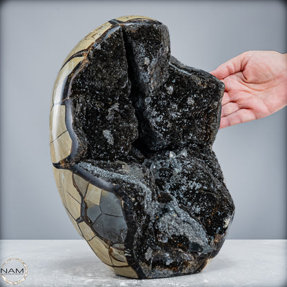 Natürliche Septarien Druse mit Calzit Kristallen, Spitzenqualität - 12487,32g