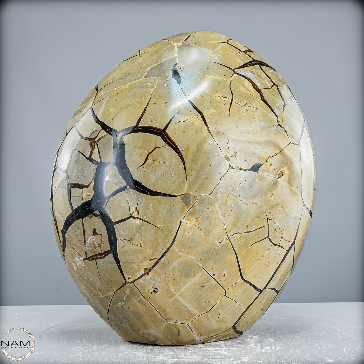 Natürliche Septarien Druse mit Calzit Kristallen, Spitzenqualität - 12487,32g