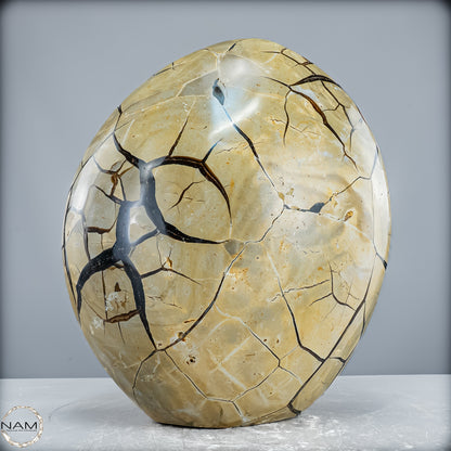 Natürliche Septarien Druse mit Calzit Kristallen, Spitzenqualität - 12487,32g